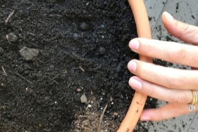  ¿Está bien utilizar tierra vieja en el suelo del jardín?