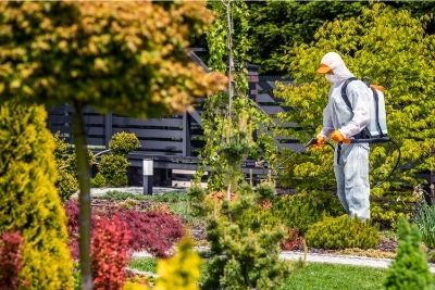  Cómo utilizar el herbicida con seguridad alrededor de los árboles y arbustos